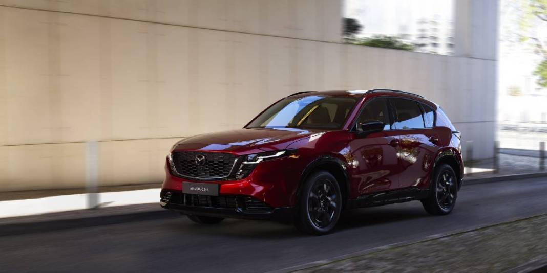 Uygun fiyat ve dayanıklılık bu modellerde: 2025’in en iyi 6 crossover modeli belli oldu! 4